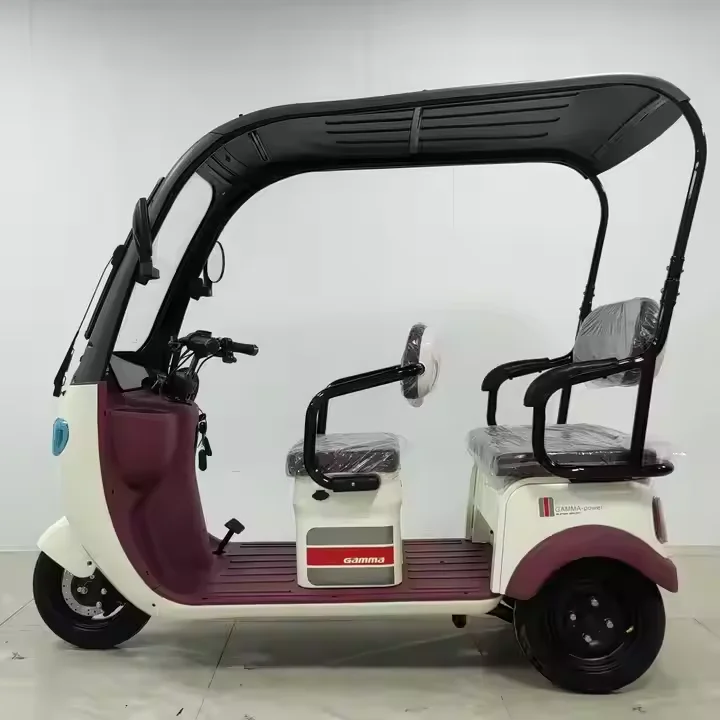 

2025 Adult Electric Tricycle with 800W Motor and Extended Range