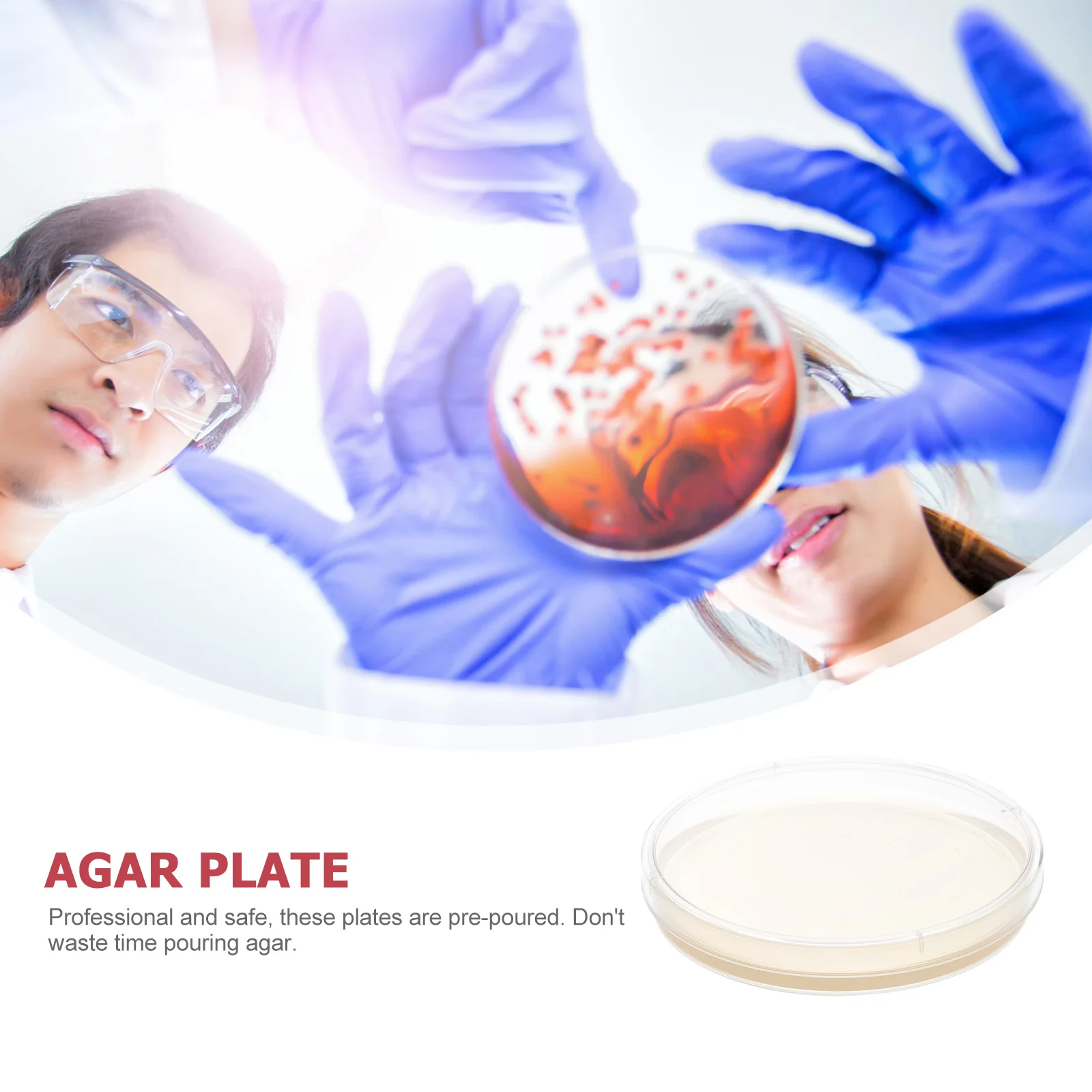

10 Pcs Nutrient Agar Plate Pre Filled Petri Dishes Plates Prepoured Mushroom Mycology Ready to Use Kit