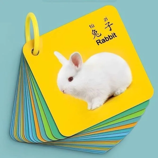 Animal Flash Cards for Toddlers 0-3 - Early Learning Cognitive Picture Cards - Educational Vocabulary & Sight Words Game