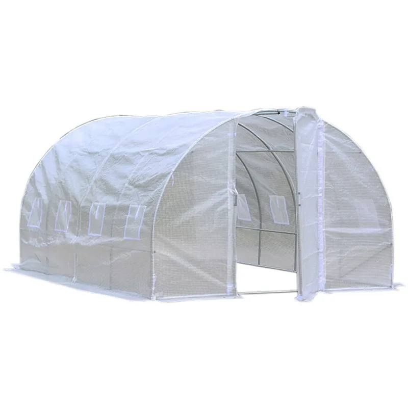2025 خيمة زراعة للخارجية قابلة للطي للمنزل الأخضر البيع المباشر حديقة الدفيئة غرفة النباتات المائية
