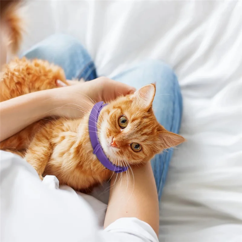 【B07R】 يساعد على القطط 4 قطع طوق مهدئ للقطط قابل للتعديل، طوق فرمون للقطط، طوق فرمون مضاد للقلق #4