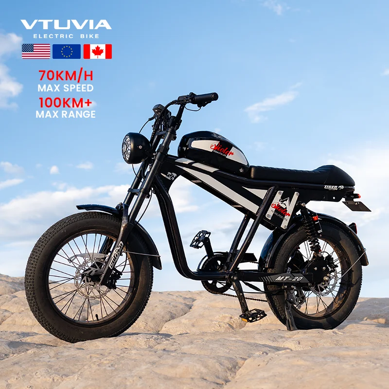 2000W All-Terrain Tandem E-Bike Dual Seat Adventure Cruiser 20AH Battery & LCD Display Vintage Electric Bike For Climbing