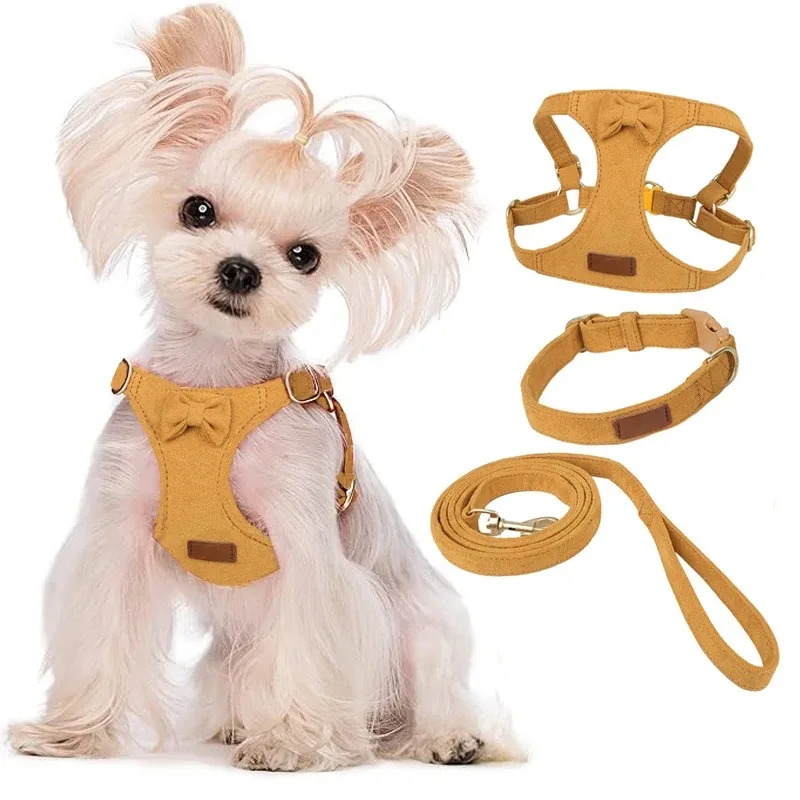 #12 Top Puppy Training Collars Picks for Every Budget