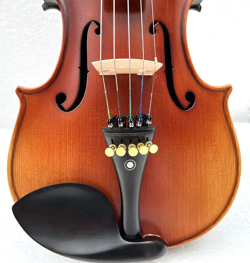 SONG Advanced 5 strings Violin with frets 4/4,Rosewood Violin,Good sound #15378