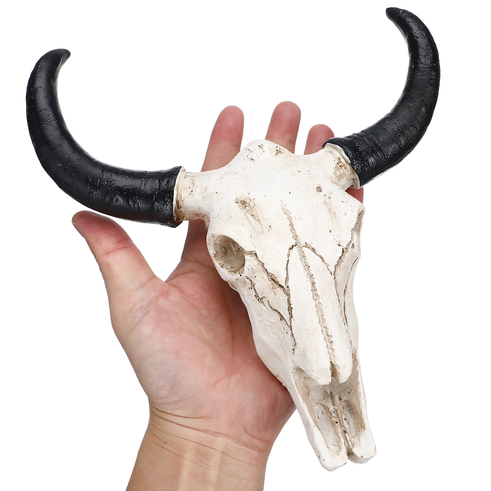 

Creative Resin Hanging Cow Skull Home Decoration Halloween Gift Animal Head Skull Wall Art Adornment For Bedroom