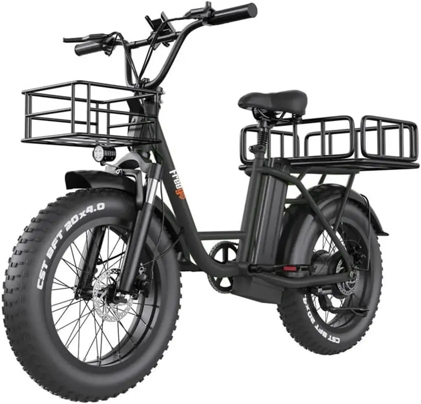 

Freego Electric Dirt Bike for Adults 20" x 4 Fat Tire Electric Bicycle 48V 25AH Battery with Front and Rear Cargo Rack 2 Seater