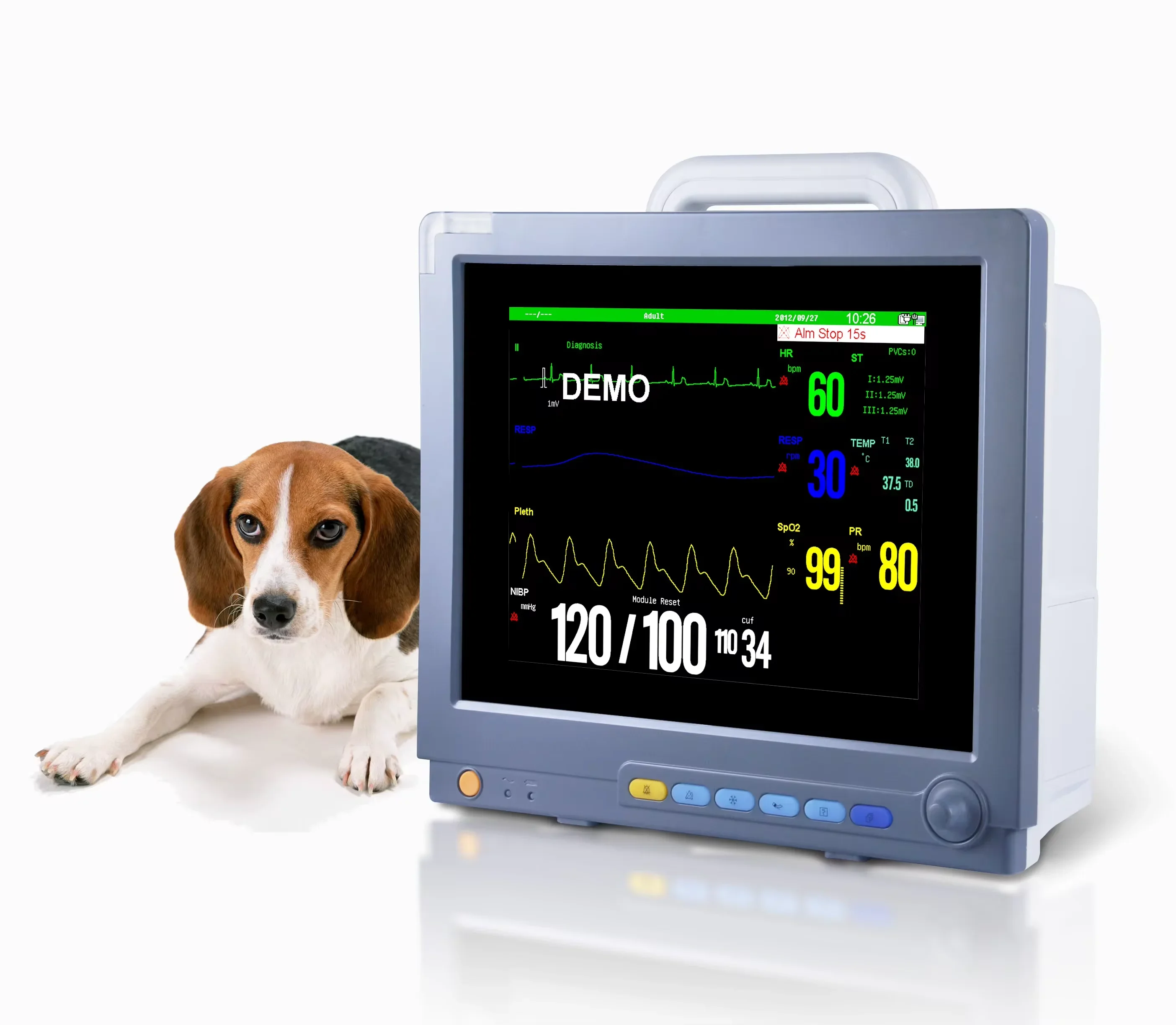 

sinnor instrument VET 12H Hot Selling 12 inch screen portable veterinary cardiac for animals veterinary