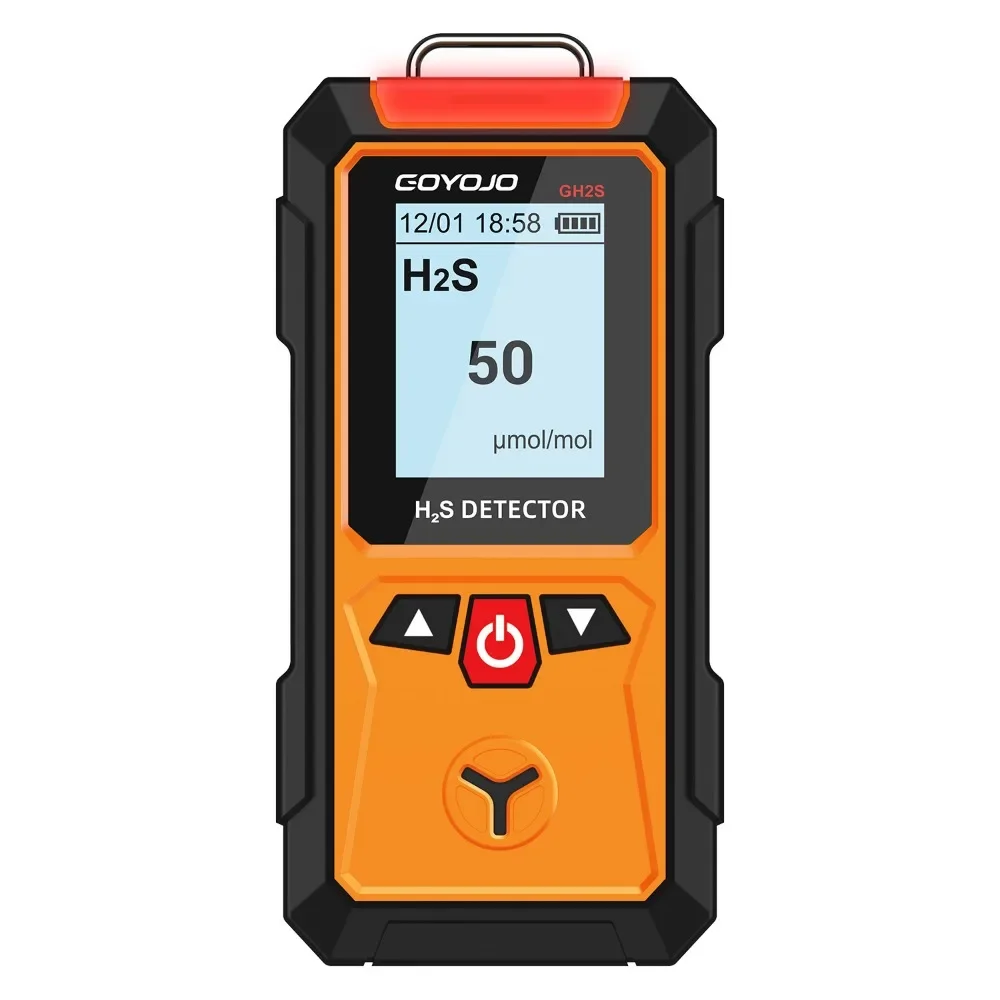

H2S Sulfide Detector, 0-100 ppm, Electrochemical Sensor, Audible & Visual Alarms, and LCD Display