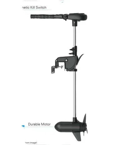 50754-90_B Haswing Protruar Transom Mount Electric Trolling Motor 3HP/Brushless Motor