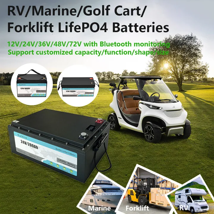 

Customized 12V 24V Lifepo4 Battery 12 Volt 24 V 50ah 100Ah 150Ah 200Ah 250Ah 300ah 400Ah Lithium Ion Battery Pack for RV Solar