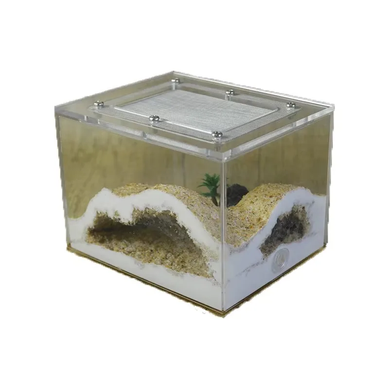 

Mini Ant Farm with Worm Feeding Box Pet Product for Kids and Adults to Enjoy Observing Ant Nests