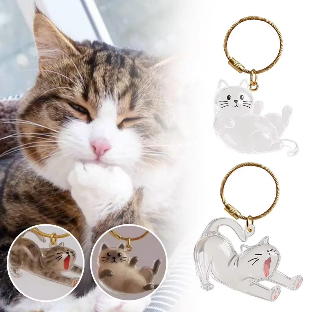 Rakol New Transparent Pet Hair Storage Box Cat Hair Storage Capsule Bag Cute Keychain Bag Pendant Pet Commemoration image 2