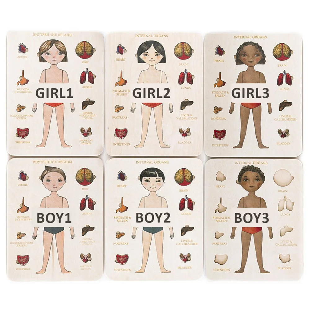 Montessori Wooden Puzzle Male Female Human Body Parts Match Board Game Puzzle Internal Organs Educational Wooden Jigsaw