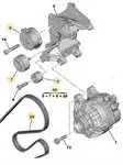 1613845780 for ALTERNATOR V strap kit PARTNER BERLINGO EXPERT BERLINGO EXPERT BERLINGO EXPERT XSARA DW8 DW8B