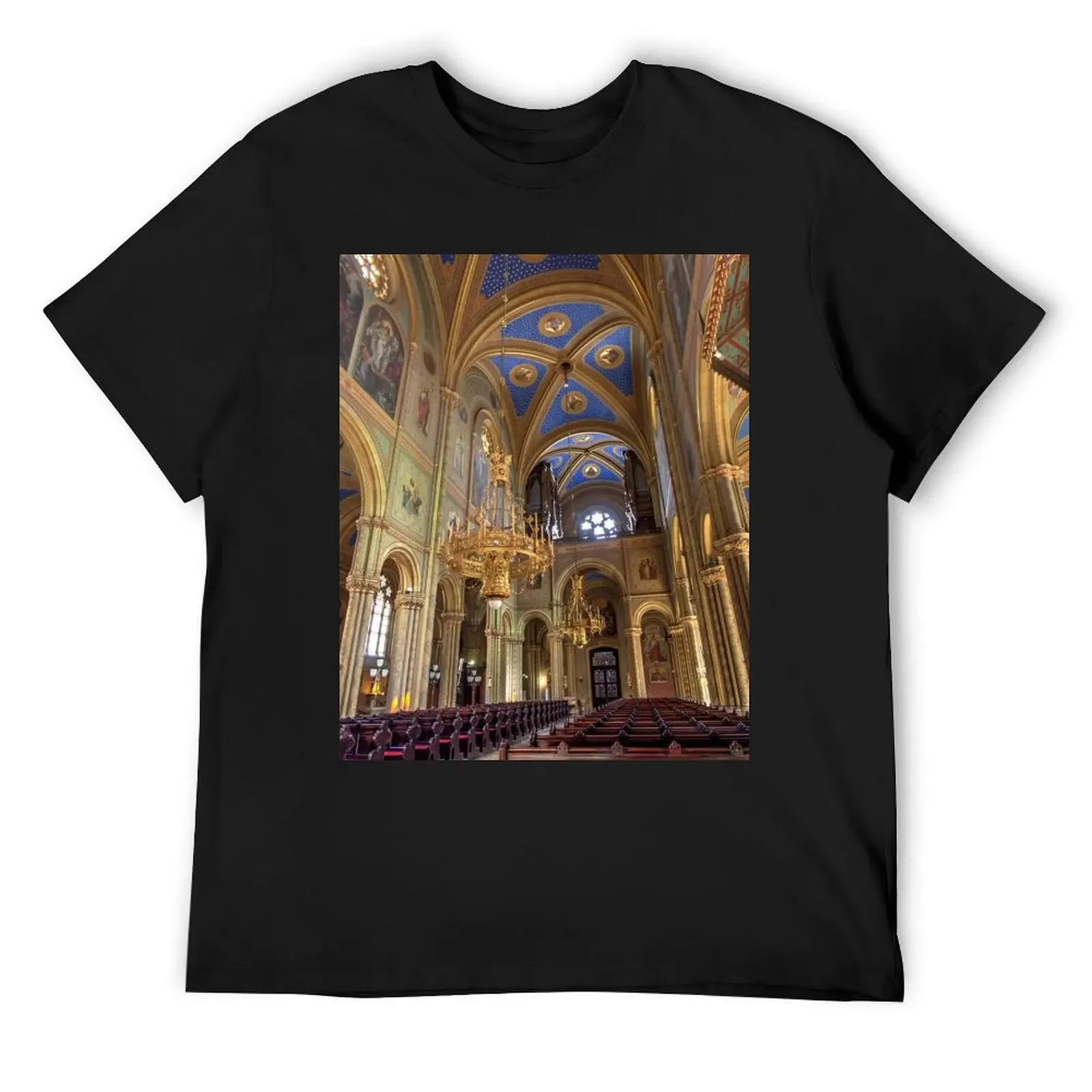 Altlerchenfelder Pfarrkirche, 1070 Vienna Austria T-Shirt plain oversized luxury clothes men