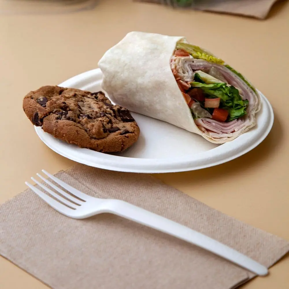 Pratos ecológicos de cana-de-açúcar, 9 polegadas, pacote com 500 por caixa