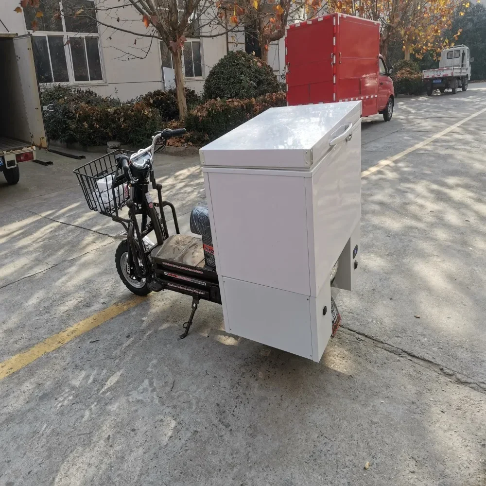 

Electric Bike Cold Motorcycle Box for Ice Cream Milk Fish Meat Delivery