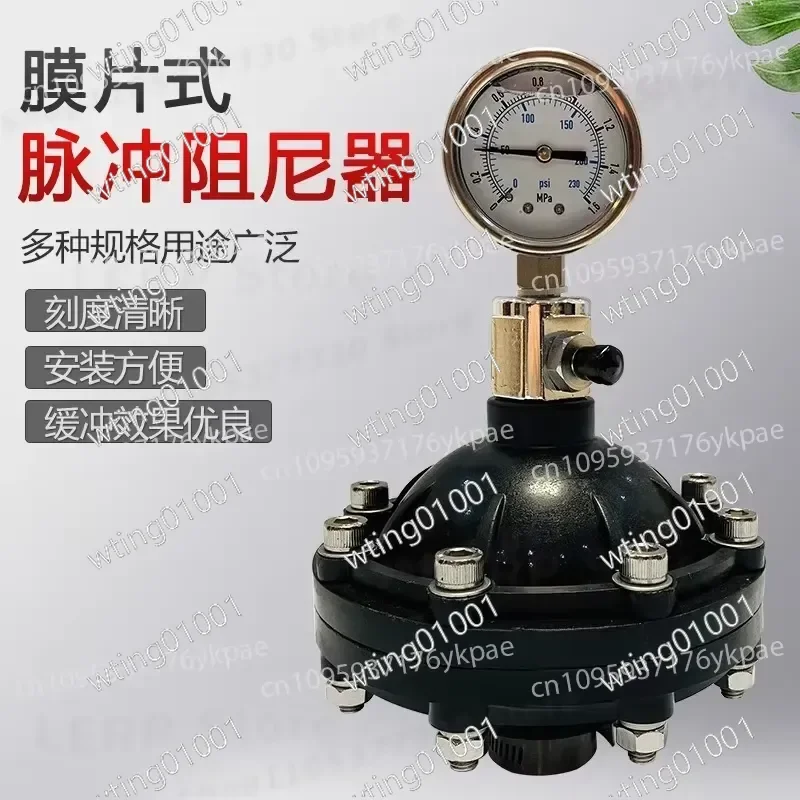for Pulsation Damper 0.35-4L DN15-DN50 Internal Thread Diaphragm Dampener for Pumps Dosing System Smooth Flow Control