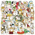 50PCS
