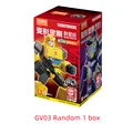 GV03 Random 1box