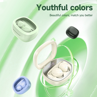HOCO EW65 Wireless Bluetooth 5.3 In-Ear Sleep Earbuds With Mic Comfortable HiFi Audio Earphone with LED Display Charging Box