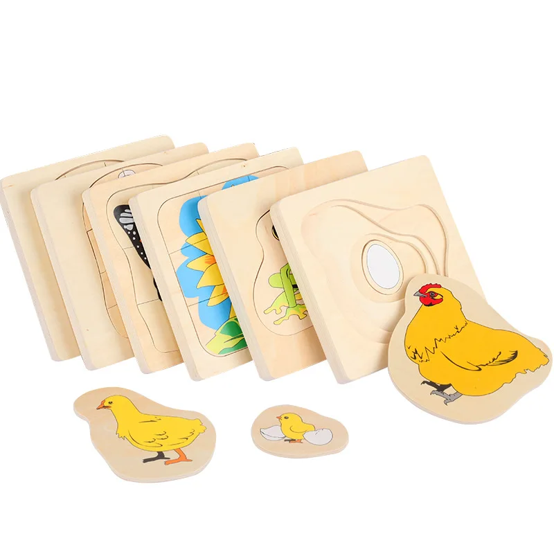 Montessori Early Learning Toy Growth Process Set Plants Animals Human Body Multi Layer Puzzle Educational Toy for Kids