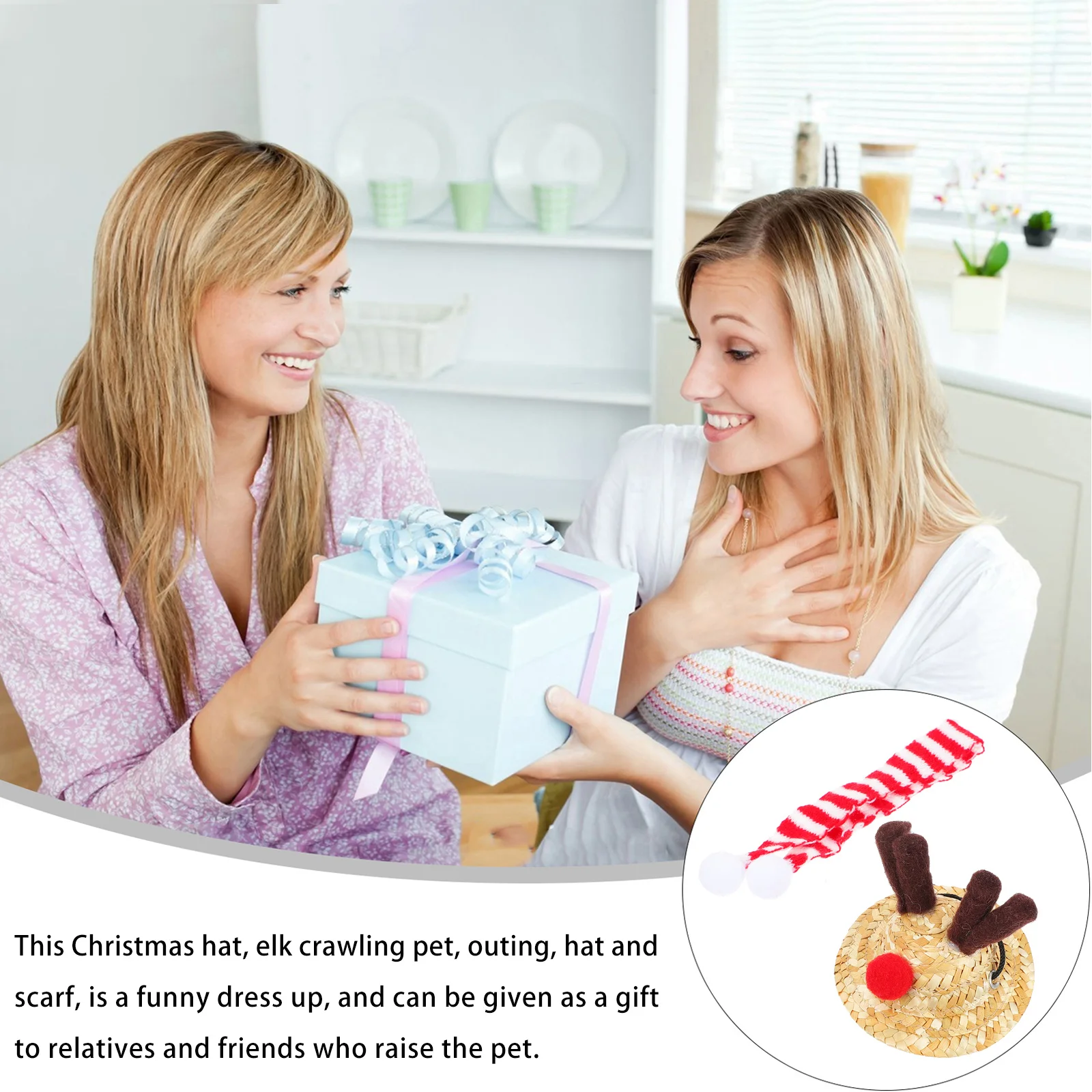 

1Set Christmas Lizard Hat Soft Lightweight Reptile Costume Scarf Comfortable Pet Accessory Xmas Reptile Festival Supply Gift