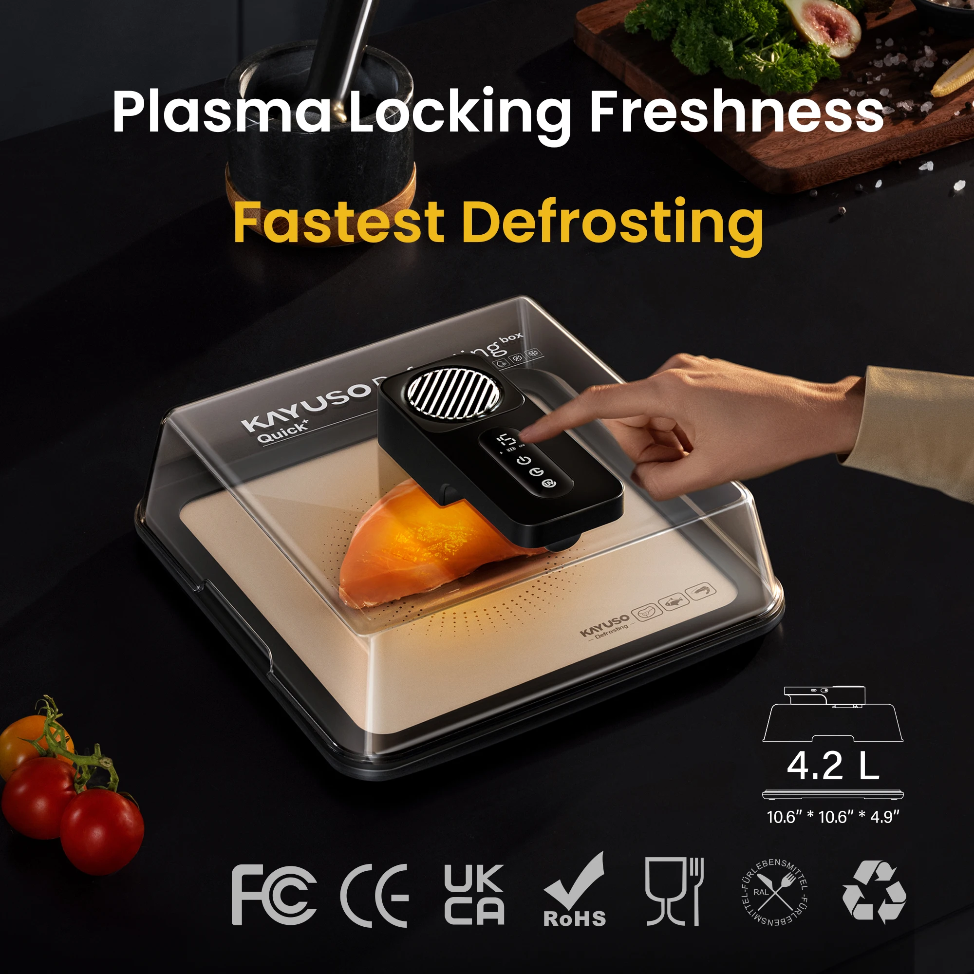 New Smart Kitchen Tool Meat Defroster Good Quality Fast Steak Defrosting Machine Meat Defrosting Box for Meat