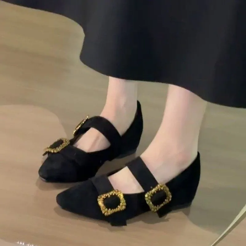 

New French Vintage Mary Jane Shoes 2025 Spring Autumn Women's Pointed Toe Shoes Elegant Female 5cm Inner Increased Single Shoes