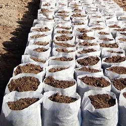 100pcs Disposable Plant Nursery Bag Great Water Retention Plant Nursery Bag for Improving Plants Survival Rate