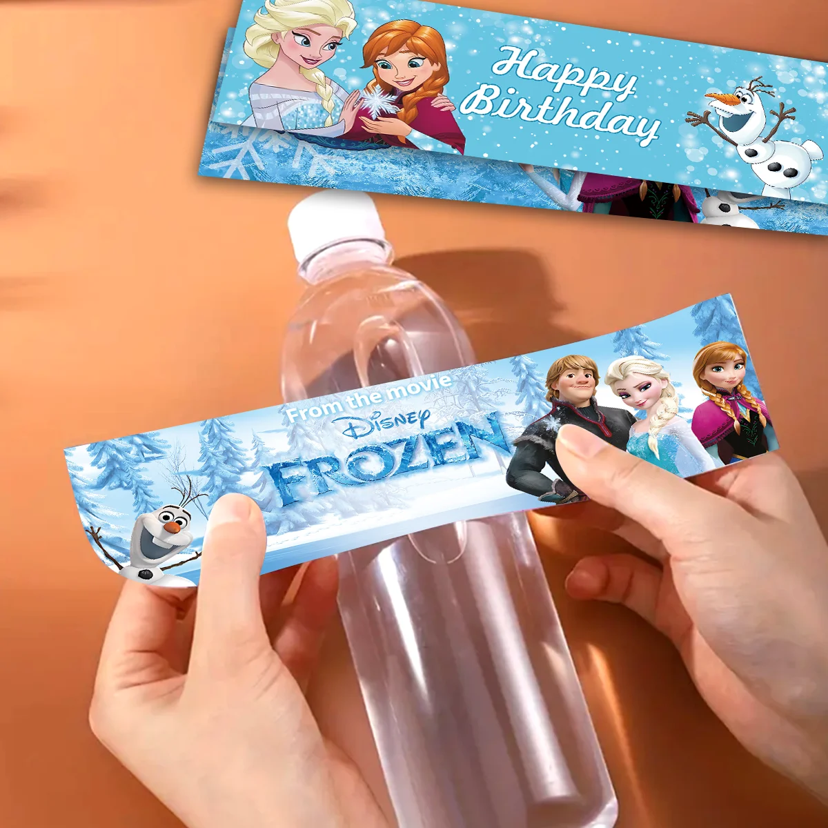 10Pcs Bottle Labels Disney Frozen Waterproof Party Supplies Birthday Decor Anna and Elsa Stickers Boys Girls Baby Shower Party