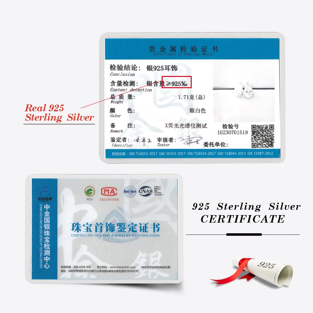 ORSA JEWELS 925 أقراط من الفضّة الاسترليني مع قطرة الماء قطع زركونيا حجر، مجوهرات أنيقة وخالدة للنساء LZE02