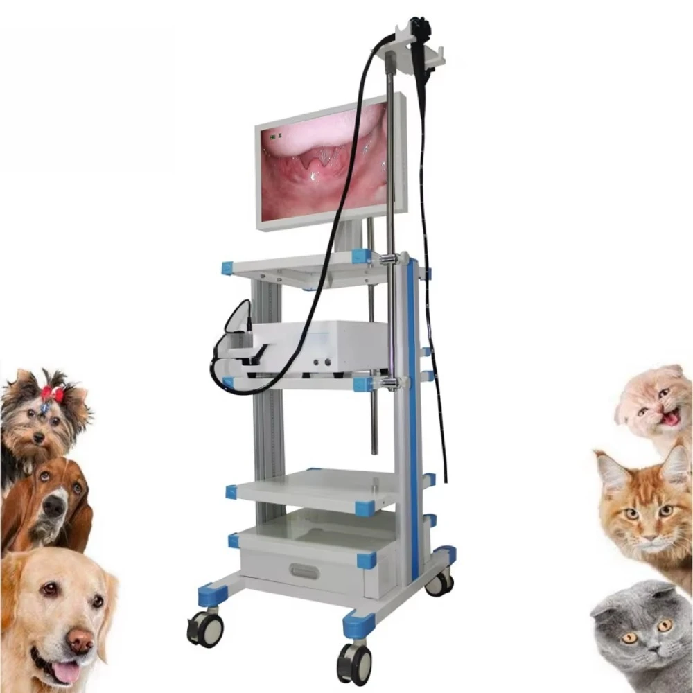 EUR VET professional veterinary equipment, veterinary electric flexible gastroscope and colonoscopy machine
