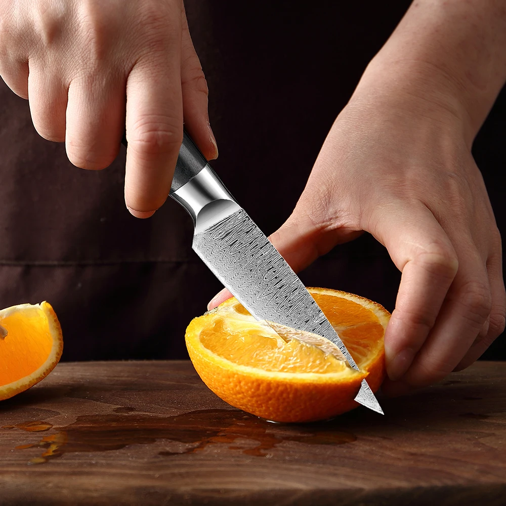 Paring Knife 3.5 Inch Stainless Steel Fruit Knife Hand Forged Japanese Peeling Knife Small Kitchen Knives Damascus Laser Pattern