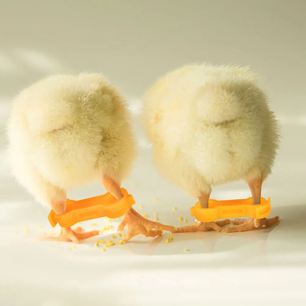 

9Pcs Poultry Leg Stability Harness Reusable Chick Splay Leg Fixer for Healthy Gait in Young Birds Chicken Parrot Duck Care