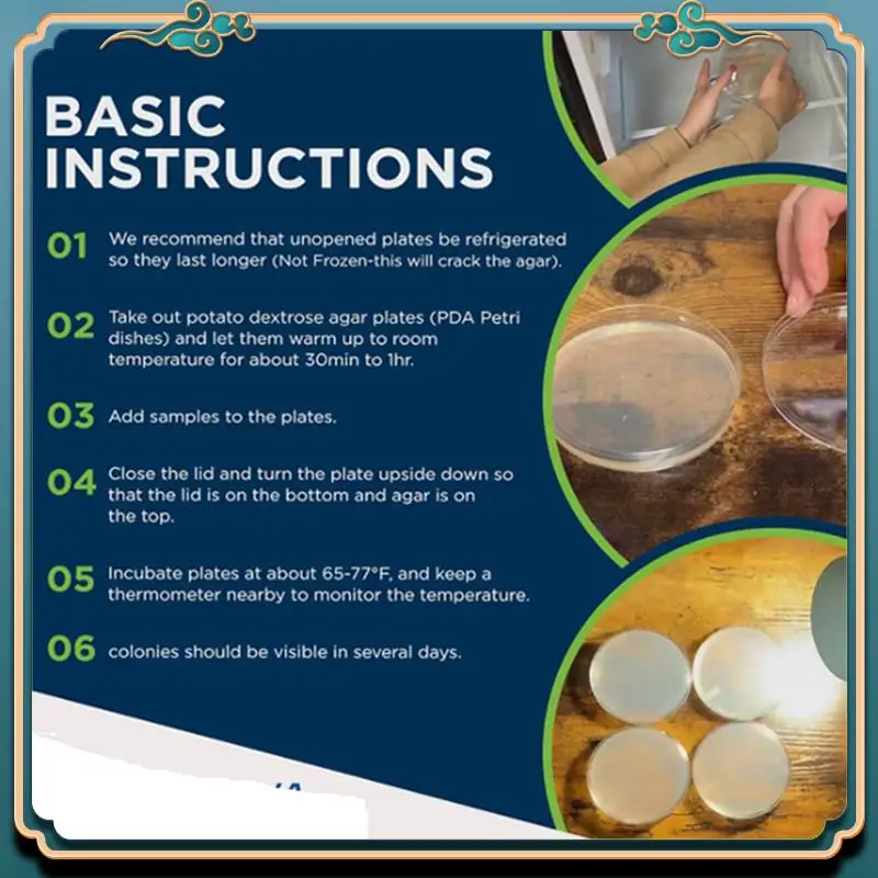 

ABJG-Potato Dextrose Agar Петри Блюдо Бактериальная чашка Петри для грибов, домашний тестовый комплект или проект Science Fair, 20 шт.