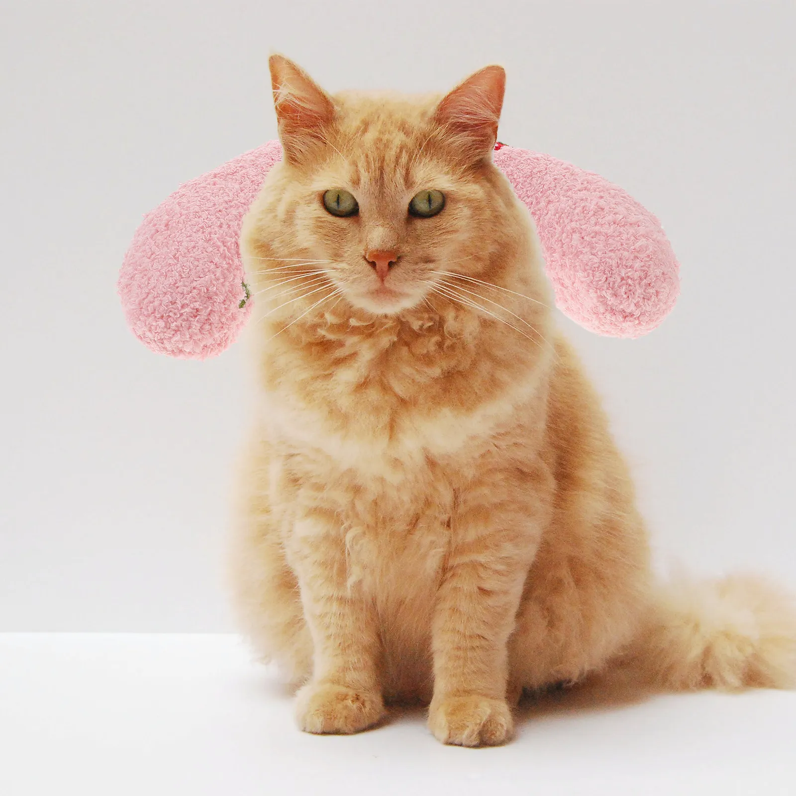 

Мягкая подушка-игрушка в форме кошки для шеи, моющаяся, удобная, для сна котят в помещении, защита шеи