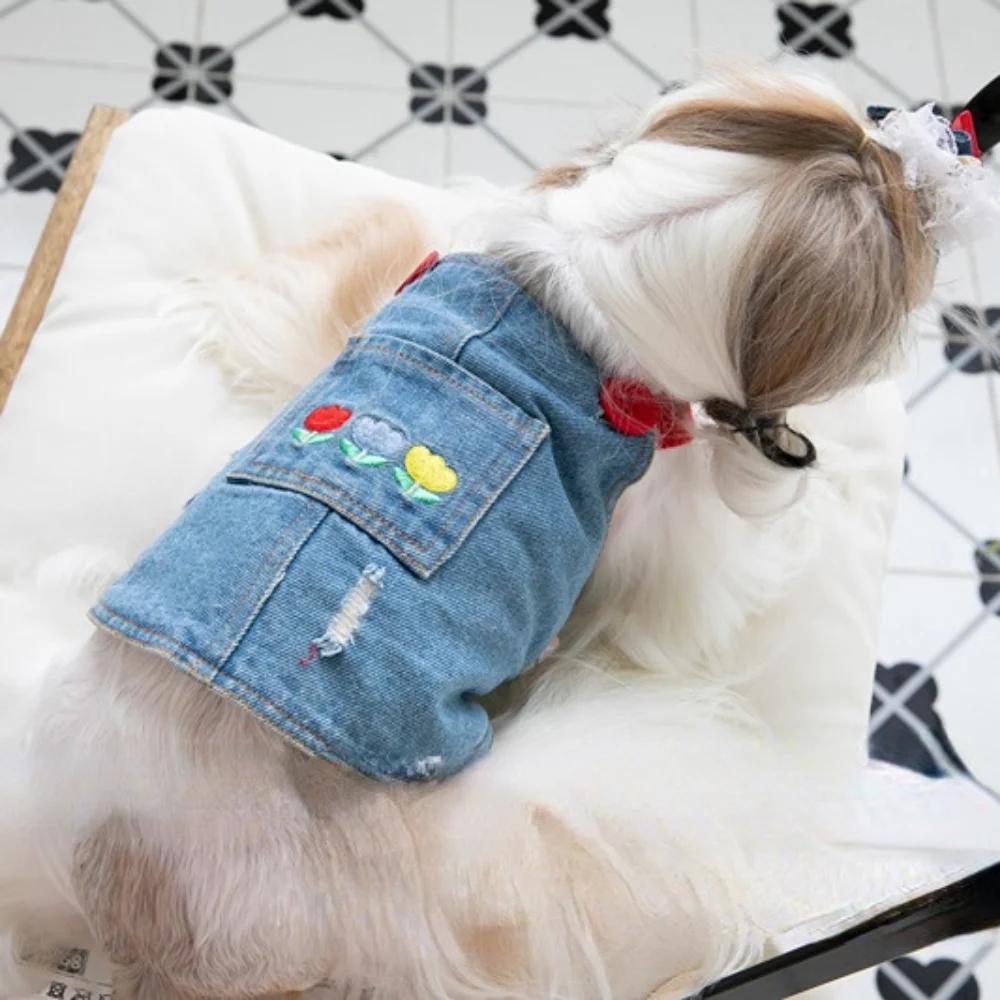 Autumn Winter Embroidered Denim Skirt Plush Pet Clothes Cat and Dog Clothes Teddy Bear Coat Hat Dog Christmas Clothes Dog Dress