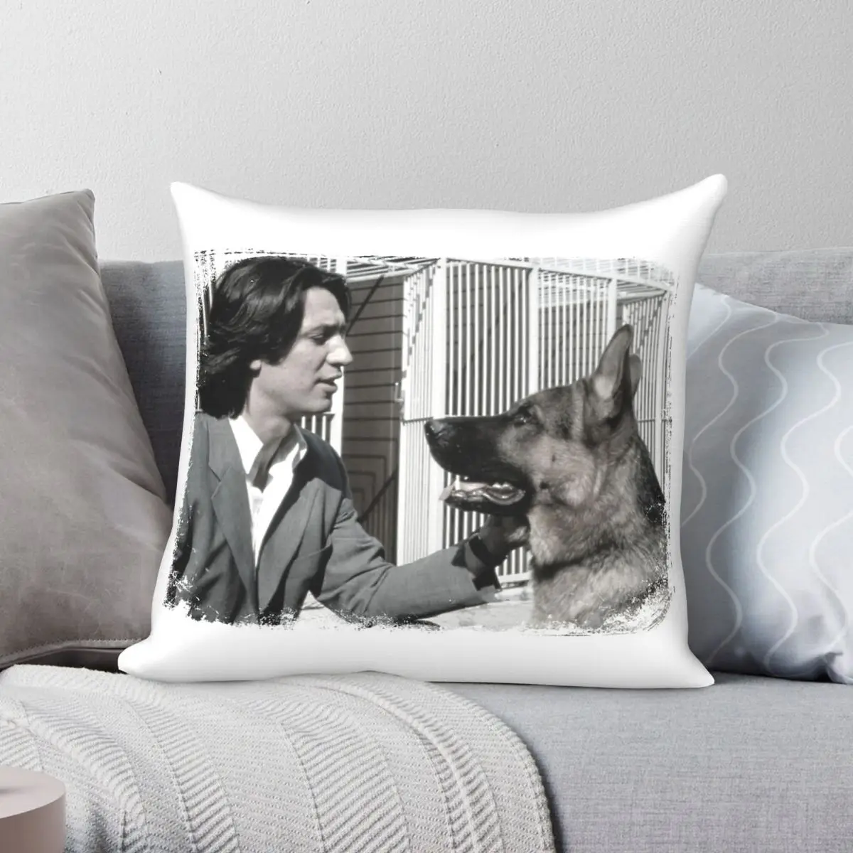 Inspector Rex Moser y Rex - Funda de almohada de poliéster con diseño de terciopelo y cremallera, funda de cojín para sofá, 45x45