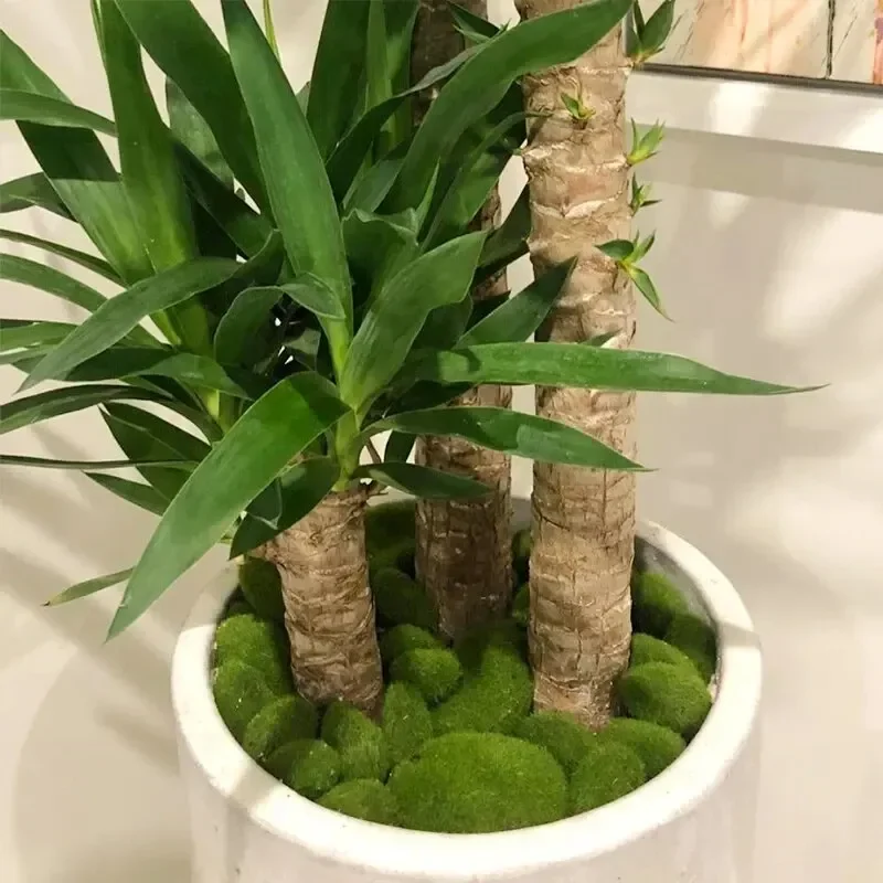 Artificial Moss Foam Stone Lawn Rockery Model Mini Landscape Ornament DIY Pot Decoration Micro Landscape Scene Decor Accessory