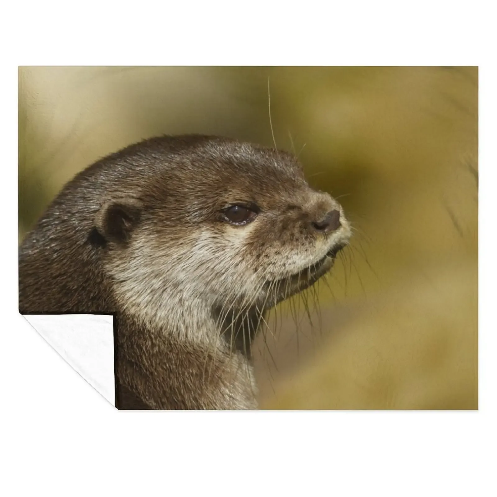 

Otter Looking Over His Shoulder Throw Blanket Tourist Soft Beds For Decorative Sofa Polar Blankets