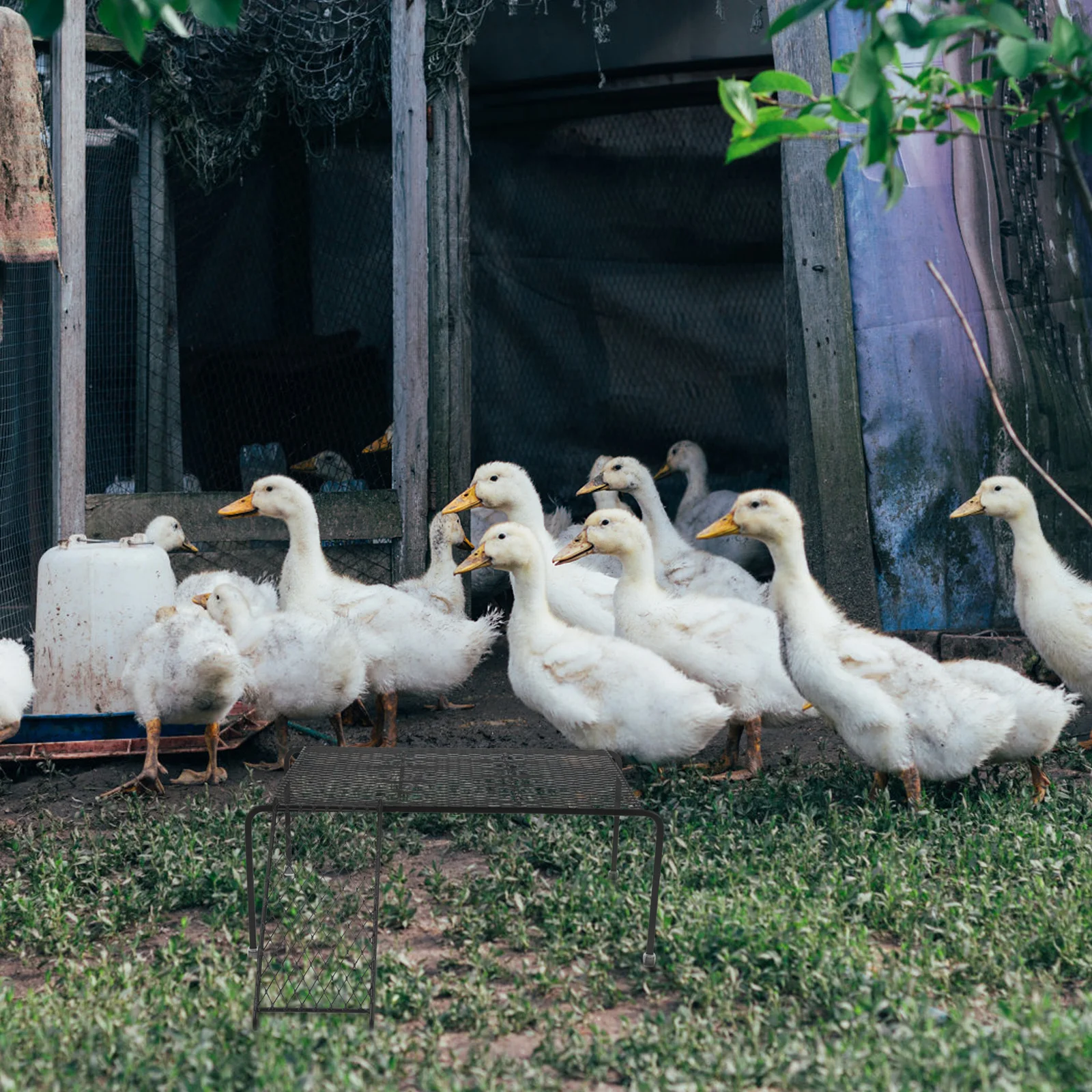 

Chicken Platform Rack Iron Mesh Coop Shelf For Small Pets Hollow-Out Ladder Chicken Cage Landscape Plaything