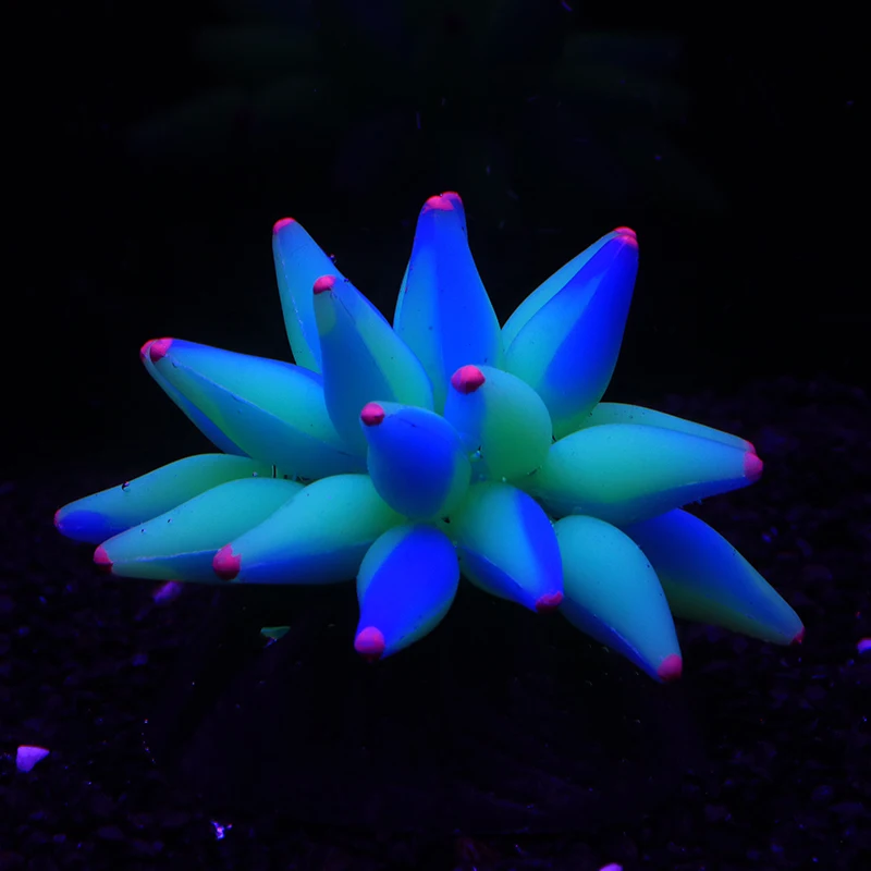 Fluorescent Bubble Coral Luminescence Effect Succulent Coral Fish Tank Aquarium Underwater World Plant Decoration Accessories