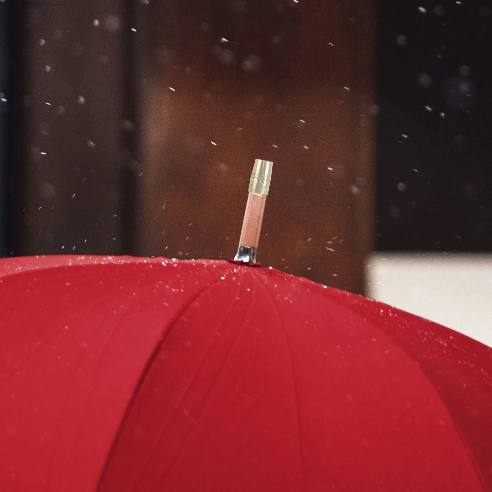 2Pcs Umbrella Tip C…