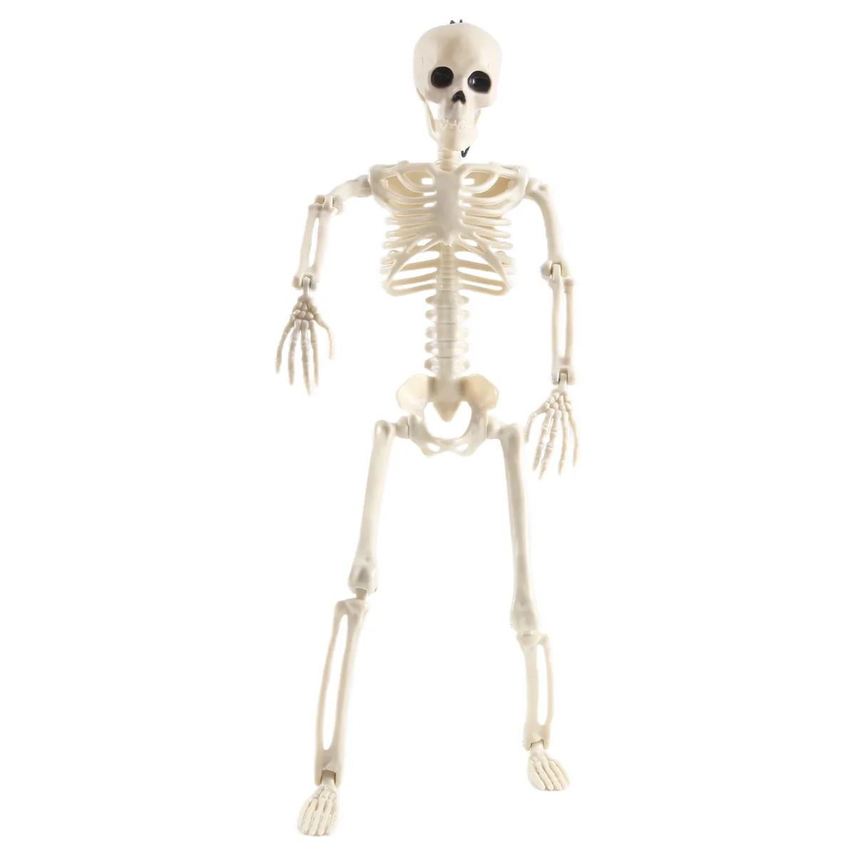 دعامة بشرية كاملة ، ديكورات الهالويون ، إكسسوارات منزل مسكون ، ديكور جرف ، يمكن حمله ، 40: 1