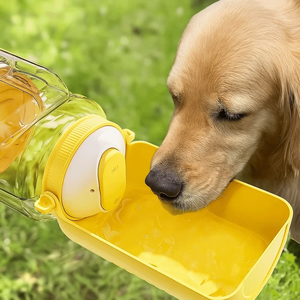 زجاجة مياه للكلاب الأليفة ذات سعة كبيرة بدون تسرب وقابلة للإزالة وقابلة للطي وعاء شرب للحيوانات الأليفة مقاوم للحرارة وعيار كبير