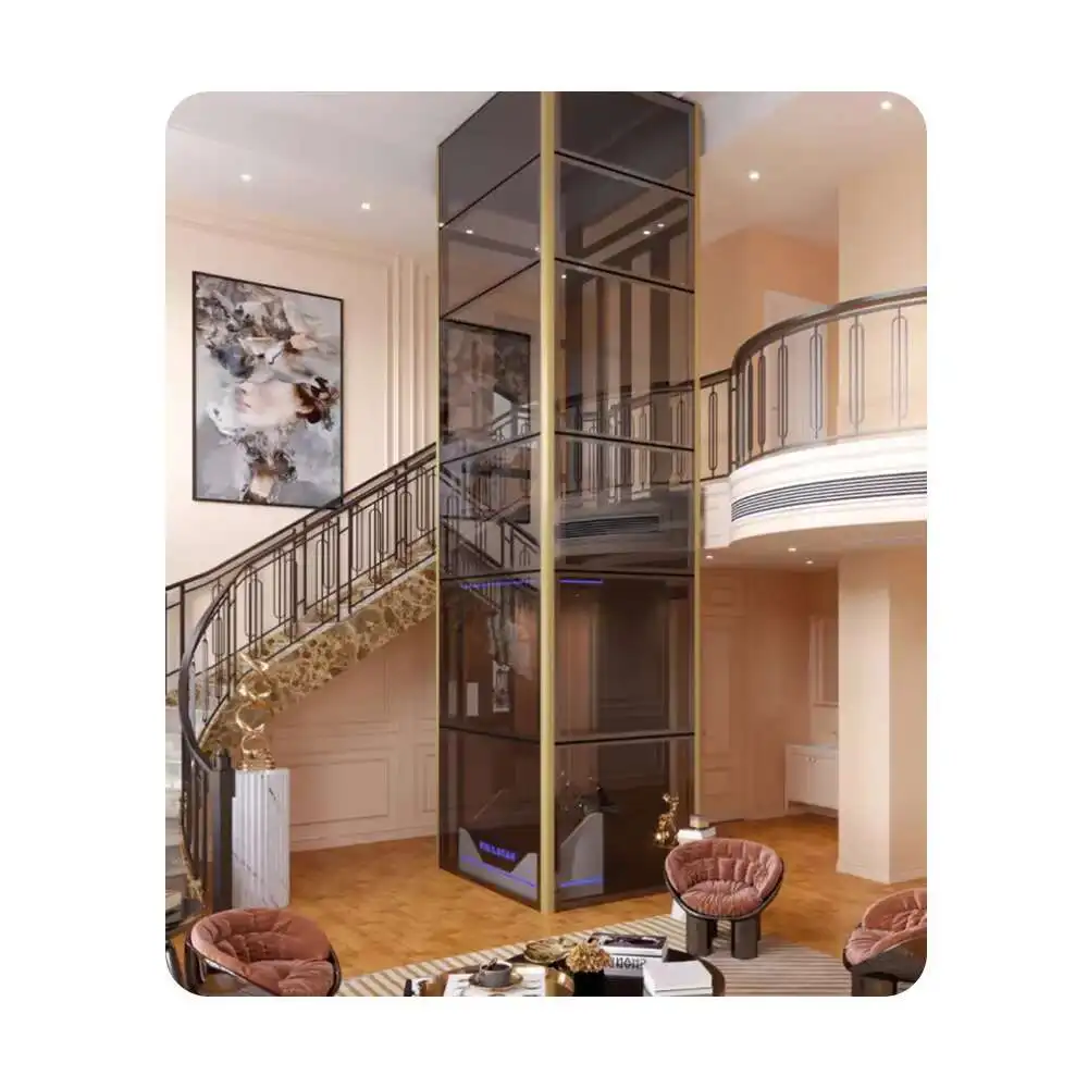 CE Certified Traction Ial Small Houses Villa Home Elevators For 2 Stories