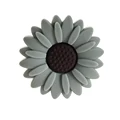 Color 5