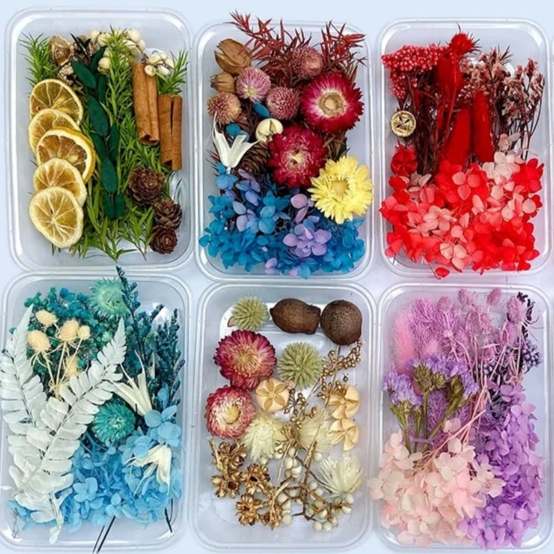 Boîte de fleurs séchées pour résine époxy, moule de moulage pour plantes sèches, bricolage, bougies d'aromathérapie, outils artisanaux, accessoires de fabrication de bijoux, 1 boîte