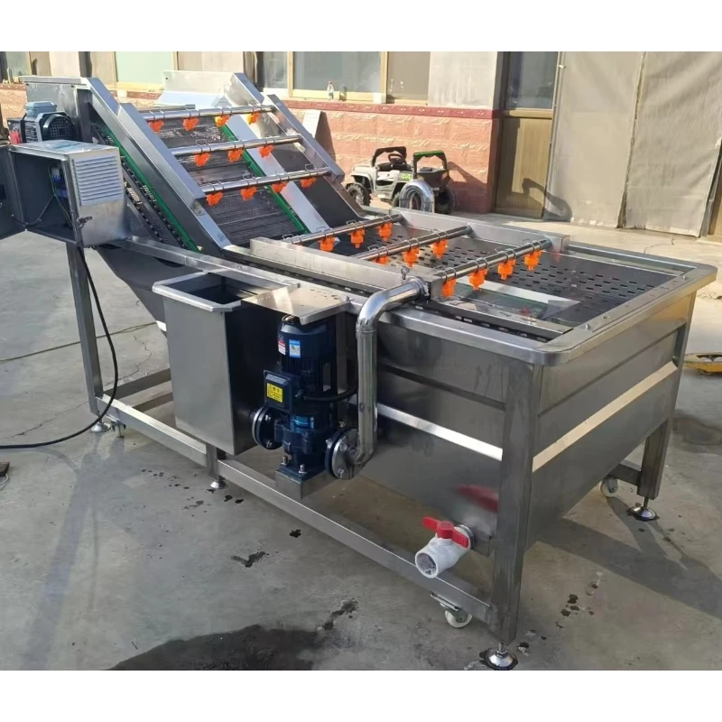 Customized Multi Purpose Bubble Cleaning Machine Universal For Vegetable Fruit Seafood Herb Agricultural Food Material Washing